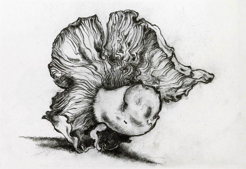 1977-1978 Funghi e frutti - Giovanni Testori